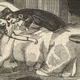 Image for article titled The beasts of Silicon Valley